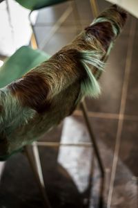 HOOG &#039;03 EYECATCHER chair MILANO detail wild goat